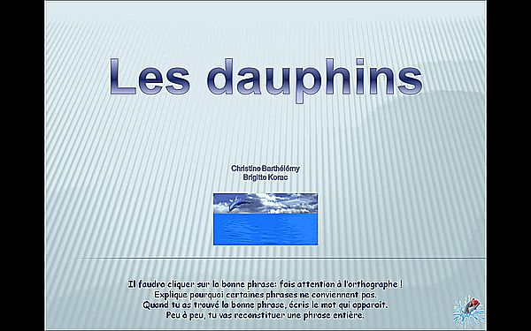 dauphins1