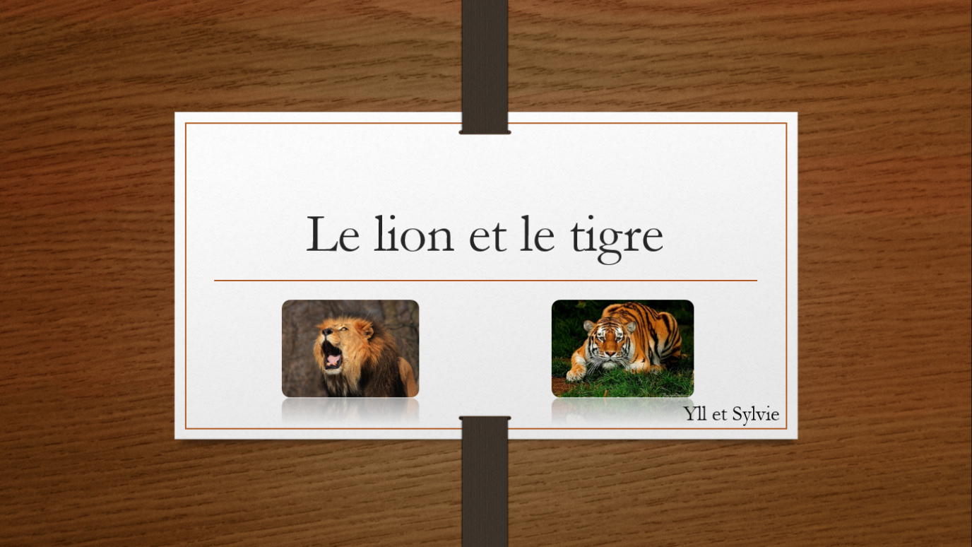 Histoire interactive Le lion et le tigre Pontt